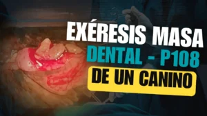 Exéresis de tumor