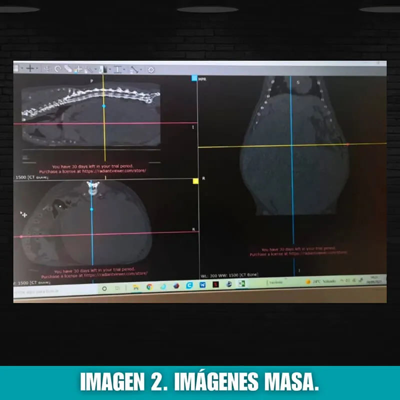 imagen 2: imagenes masa